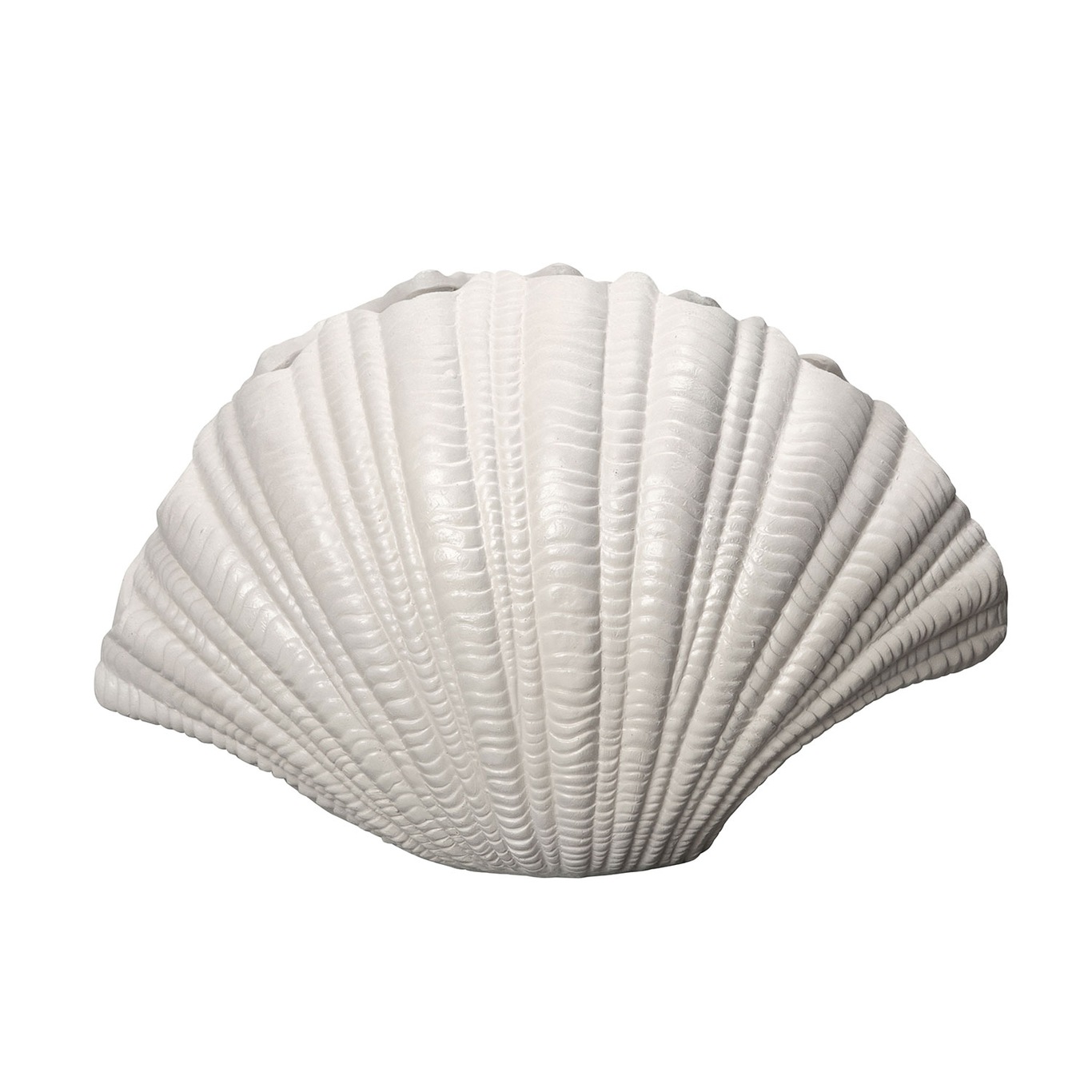 Shell Vase, White