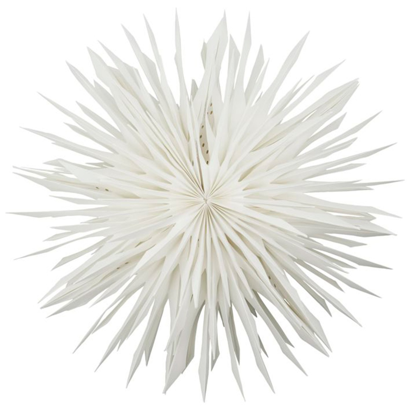Reef Star Off-white, 50 cm