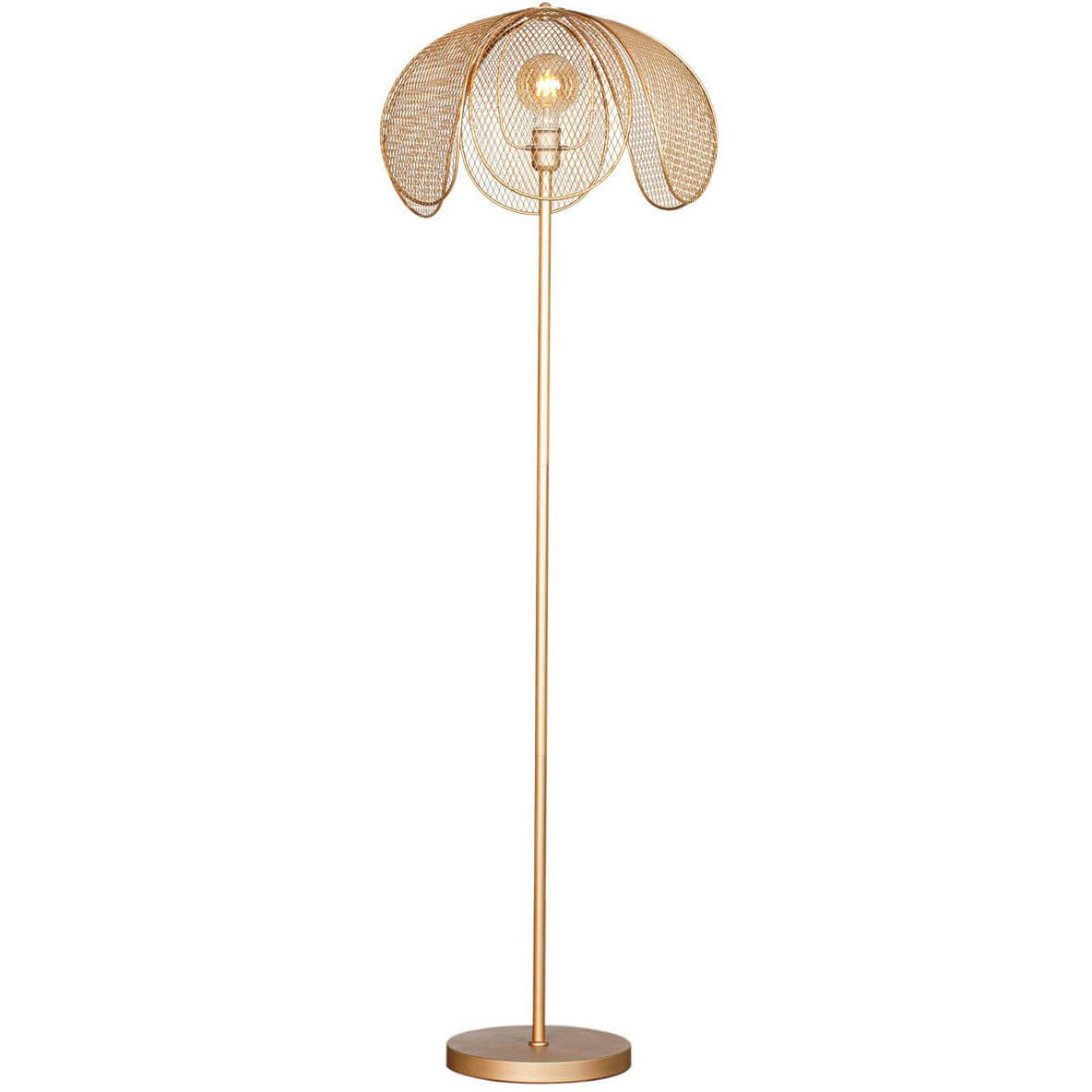 Daisy Stehlampe, Gold