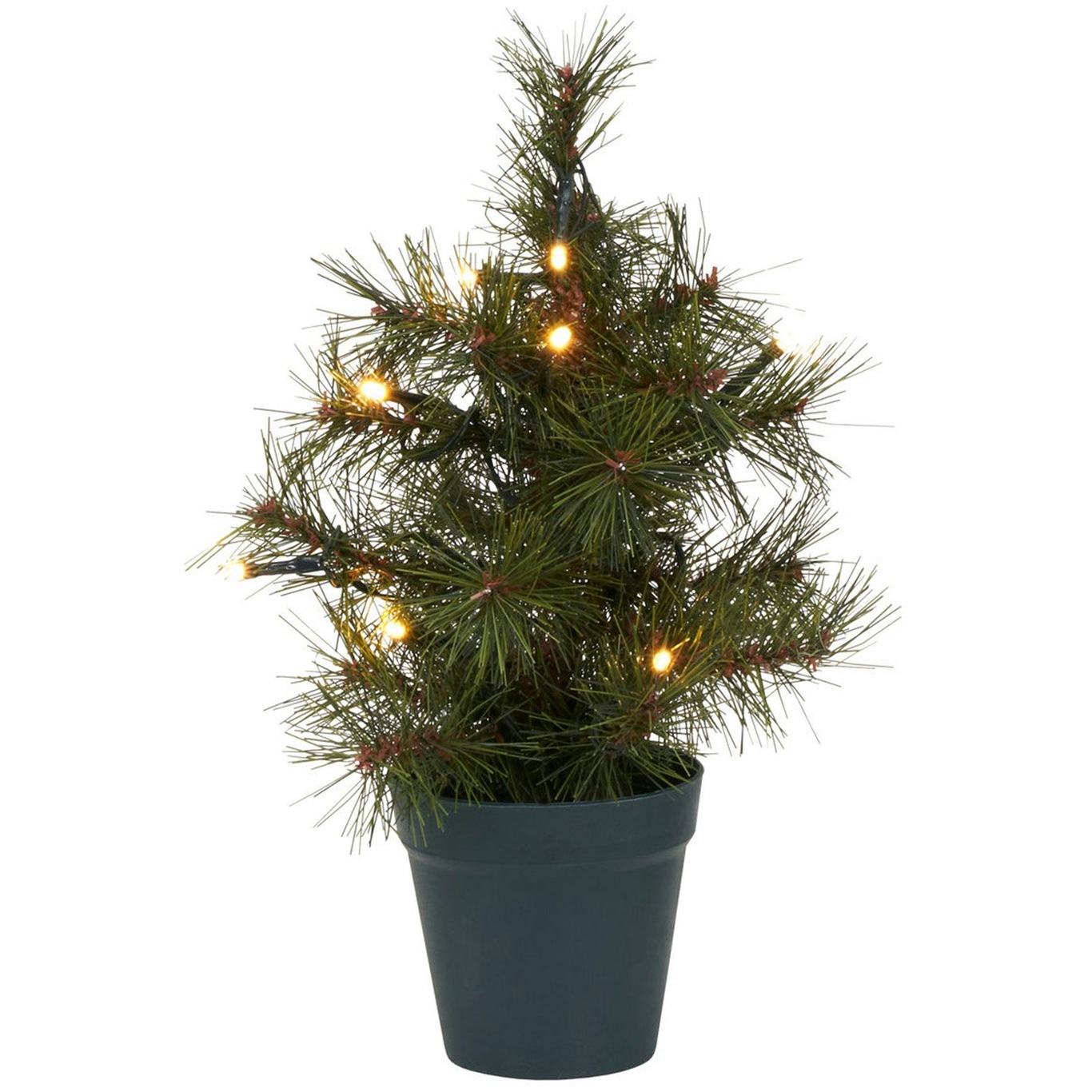 Pinus Weihnachtsbaum Grün, 30 cm