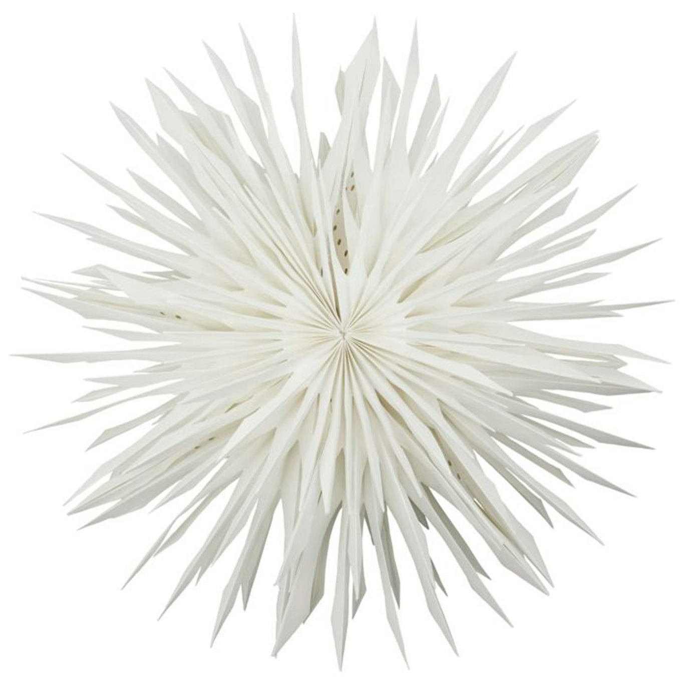 Reef Stern Off-white, 50 cm