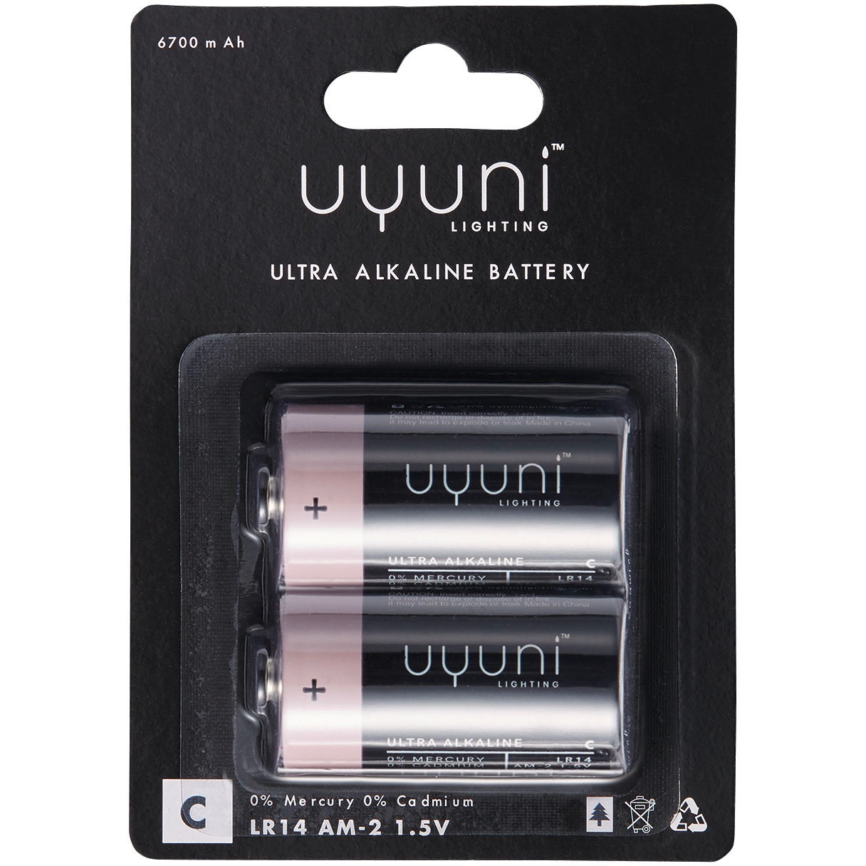 C Battery 1.5V 6700mAh, 2-pack