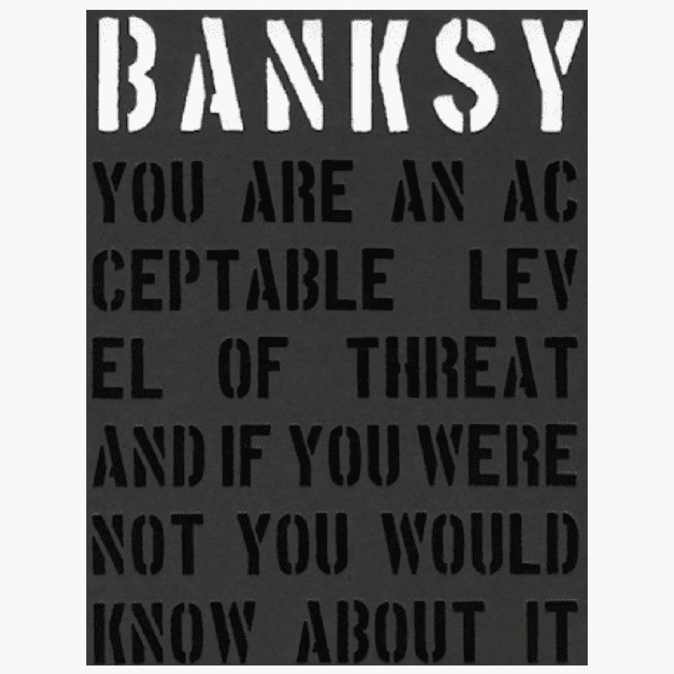 Banksy – You are an acceptable level of threat Buch