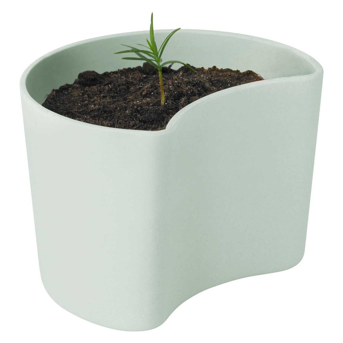 Your Tree Degradable Pot With Seed, Green