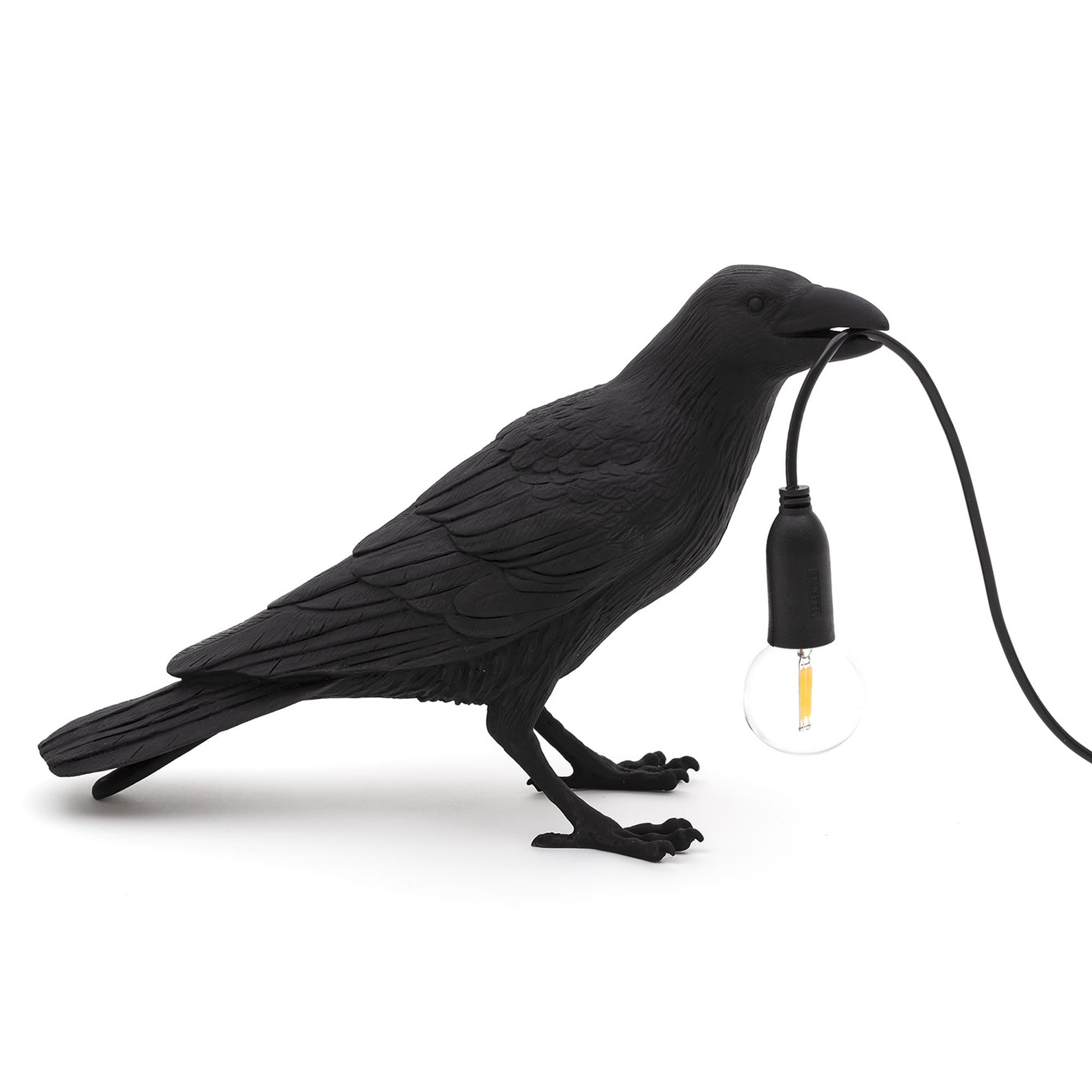 Vogel Lamp Wachtend, Zwart