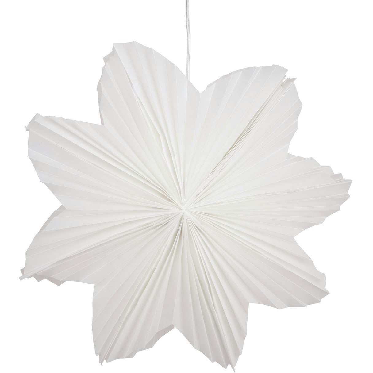 Daisy Kerstster 60 cm, Wit