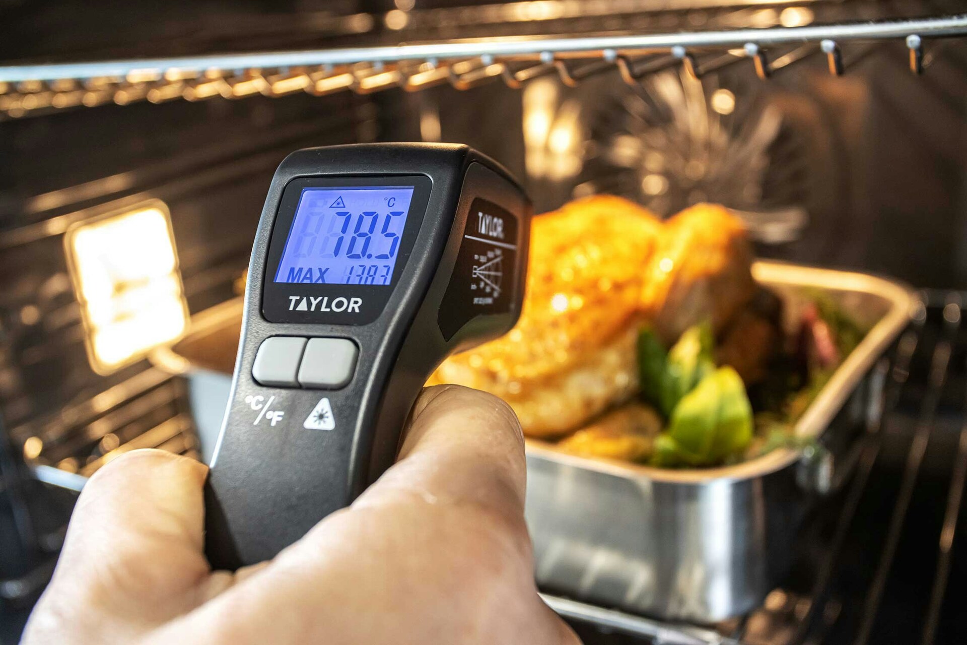 Taylor Pro Thermometer, Meat