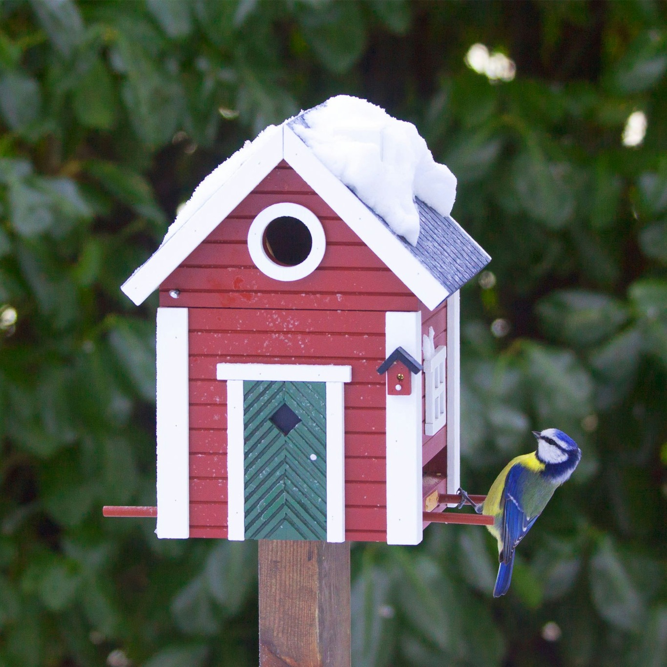 Mein kleiner Garten Bird Feeder Craft Set, 1 Set - Bloomling International