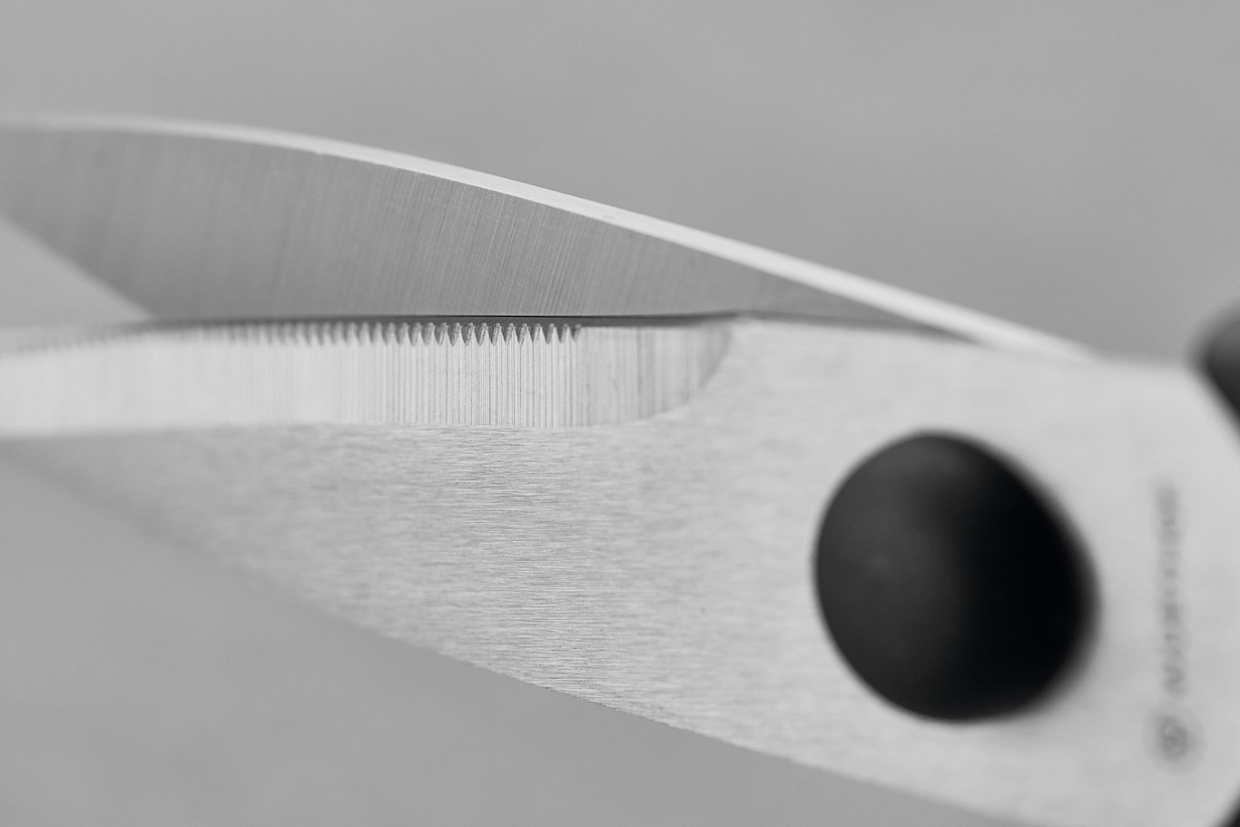 https://royaldesign.com/image/2/wusthof-kitchen-scissors-21-cm-black-3?w=800&quality=80